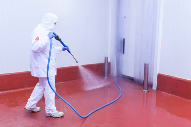 Playground Equipment Cleaning in Springs, NY